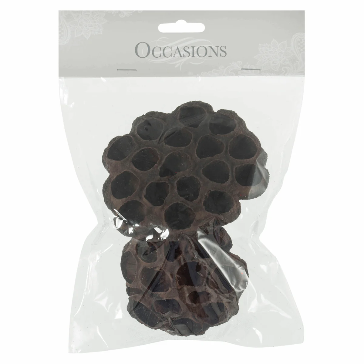 Dried Lotus Flower Heads - 8-10cm (Pack of 2) - Image 3