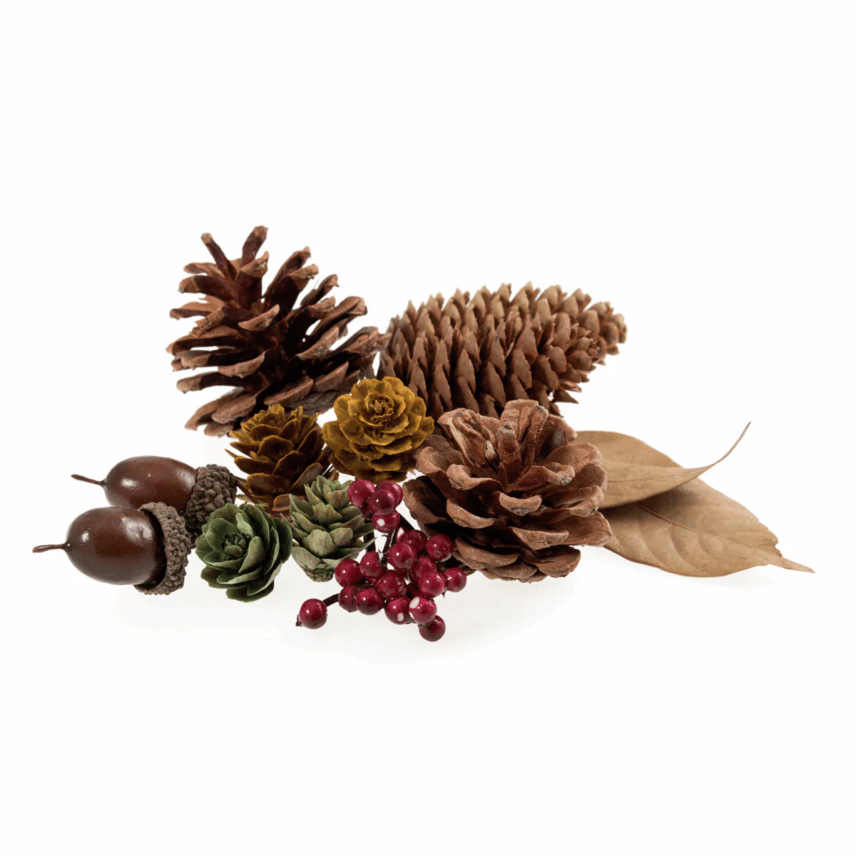 Natural Acorn Mix Bag - 45g (Pack of 11)