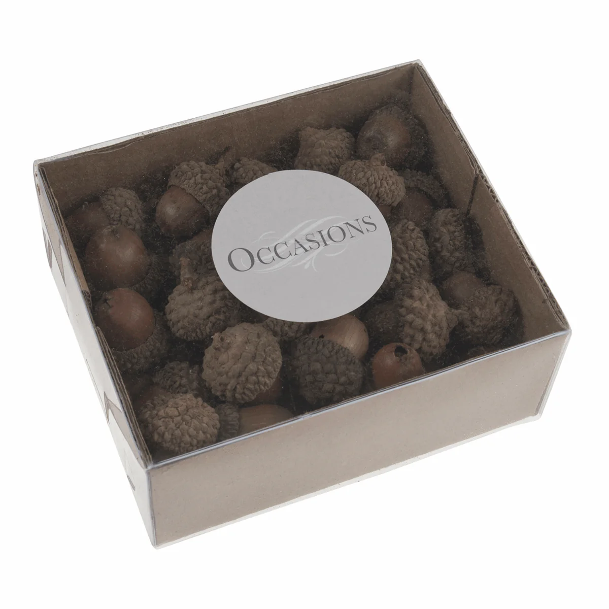 Natural Acorns (Pack of 50) - Image 2