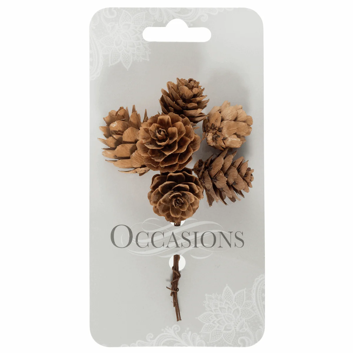 Natural Pinecone Stems on Wire (Pack of 6 Stems) - Image 2