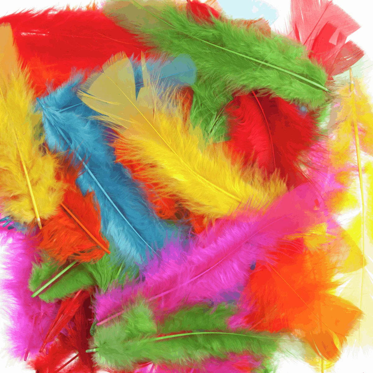 Trimits Multi-Coloured Large Feathers - Assorted Pack of 50 - Image 2