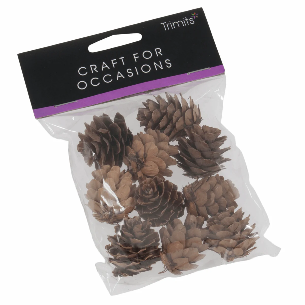 Trimits Natural Pine Cones (Pack of 10) - Image 2