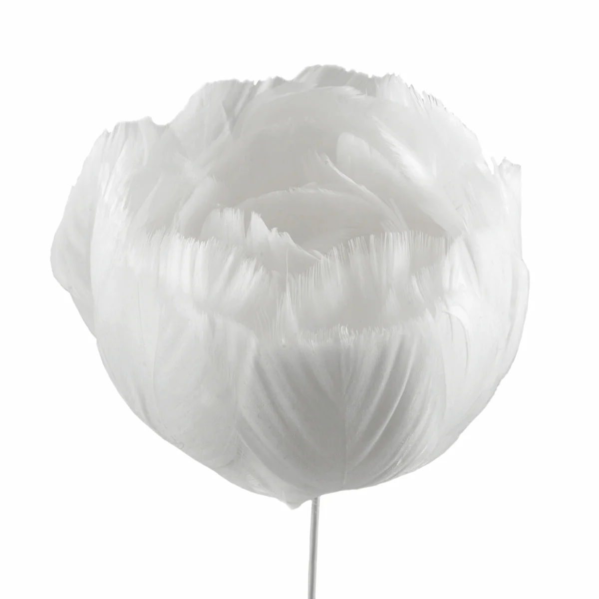 White Feather Flower on Stem