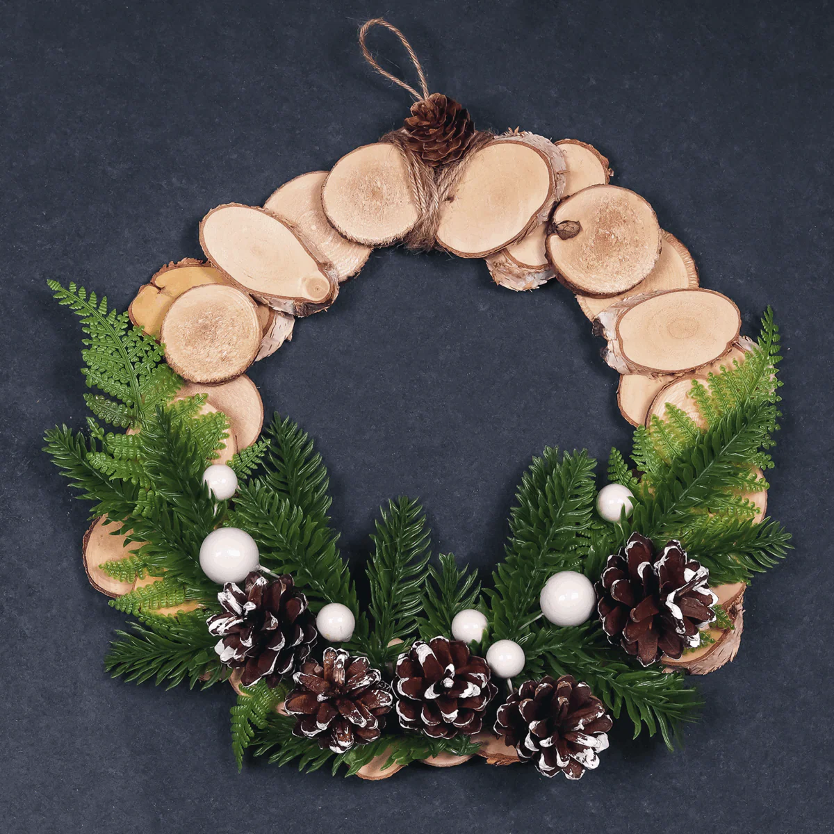 White Tipped Pine Cones (Pack of 9) - Image 3
